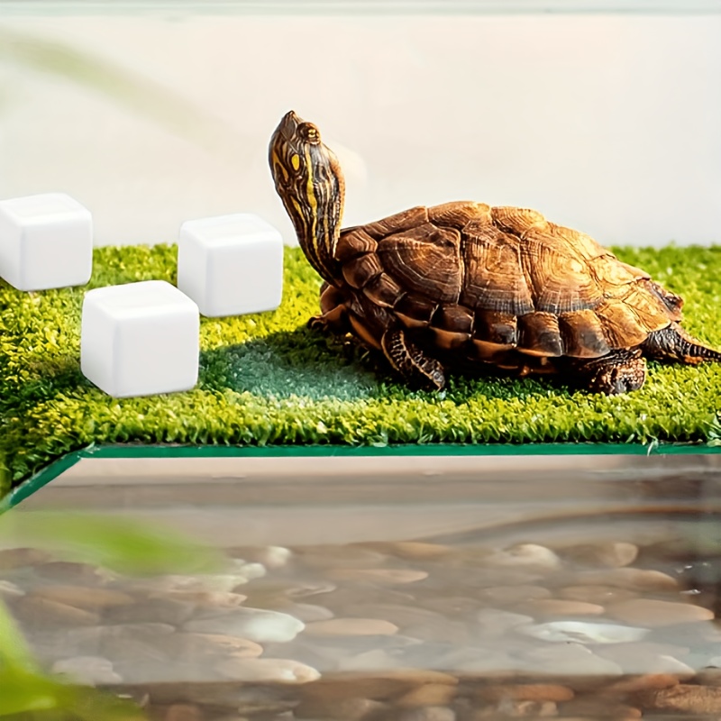 6 Peças de Pedras de Calcário  - Calcium Powder Reptile avaliação e preço
