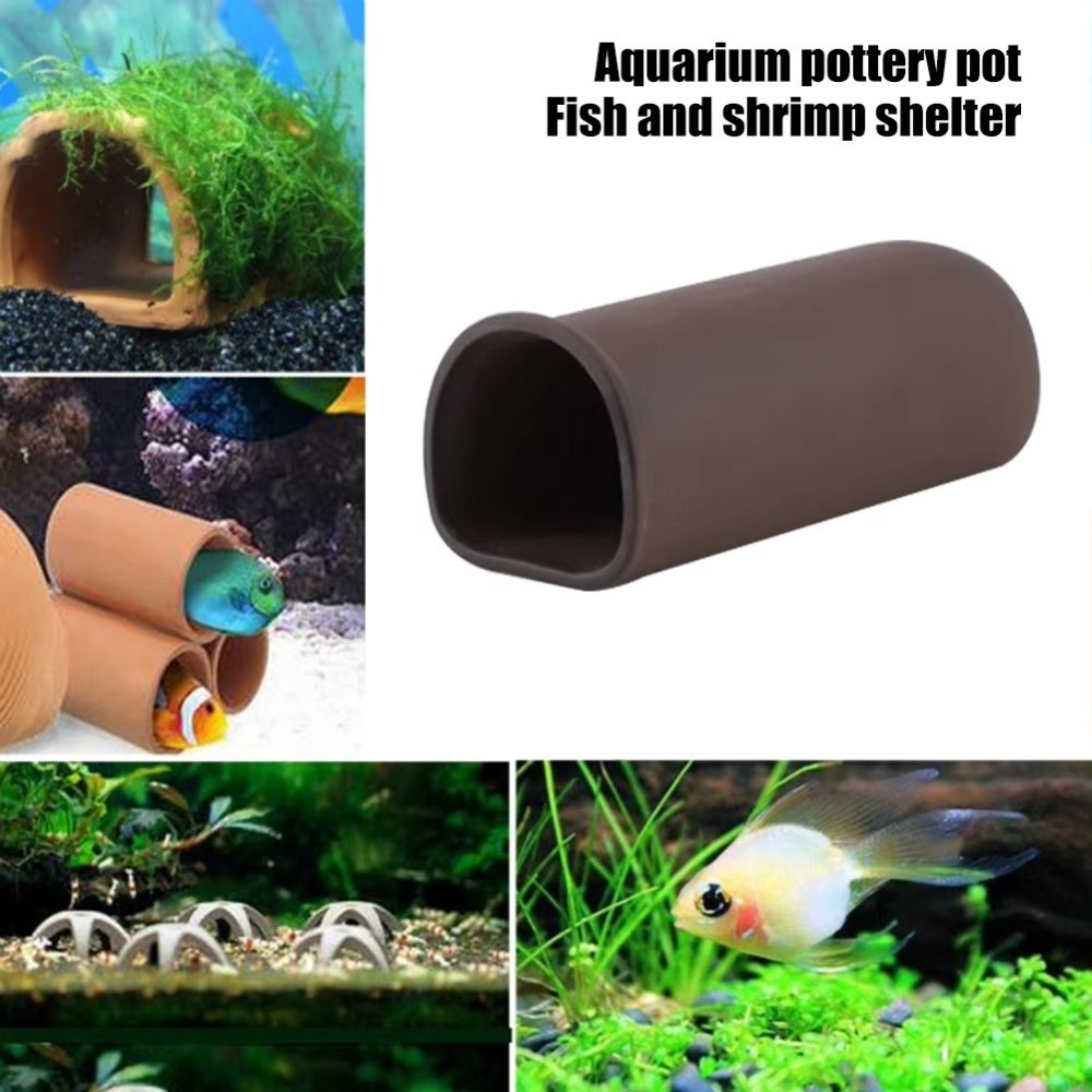 Jogando reprodução spawning aq - Hide Cave Ceramic avaliação e preço