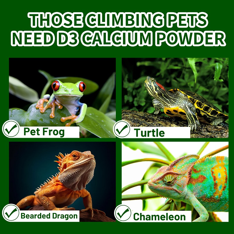 Pó de cálcio para animais de e - Vitamin D3 Reptile avaliação e preço