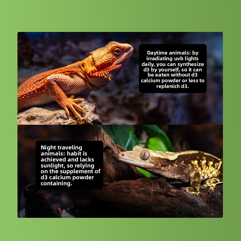 Pó de cálcio para répteis Rept - Vitamin D3 Reptile avaliação e preço
